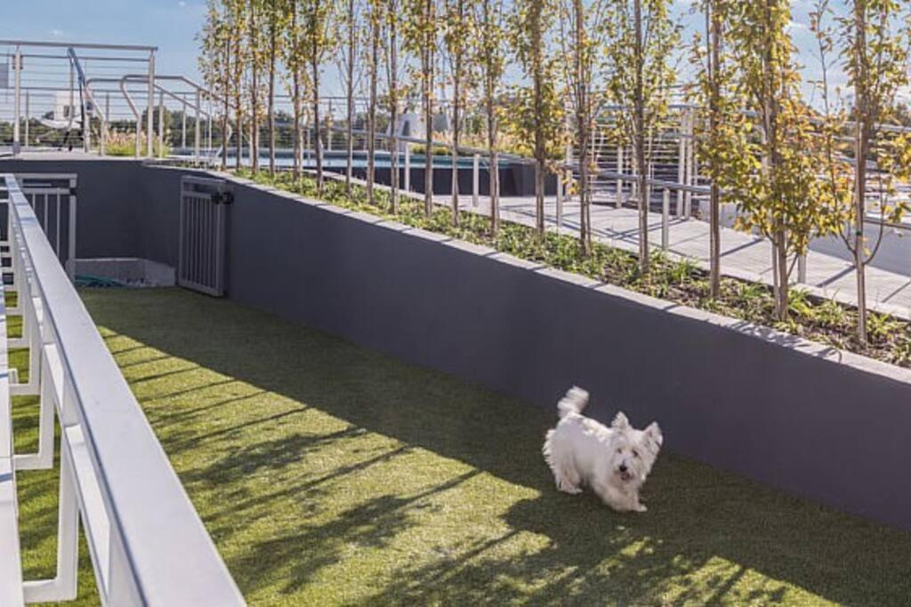Modern, Chic, Great Location Apartamento *